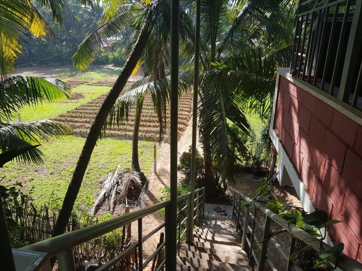 Cocopelli Guest House جوكارنا المظهر الخارجي الصورة